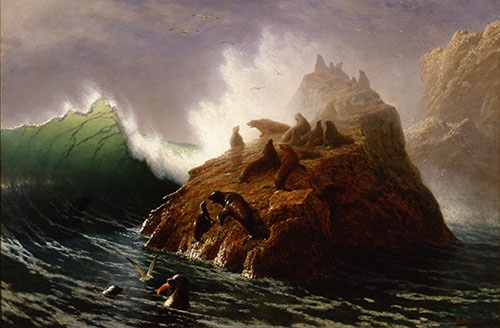 Bierstadt albertseal rock