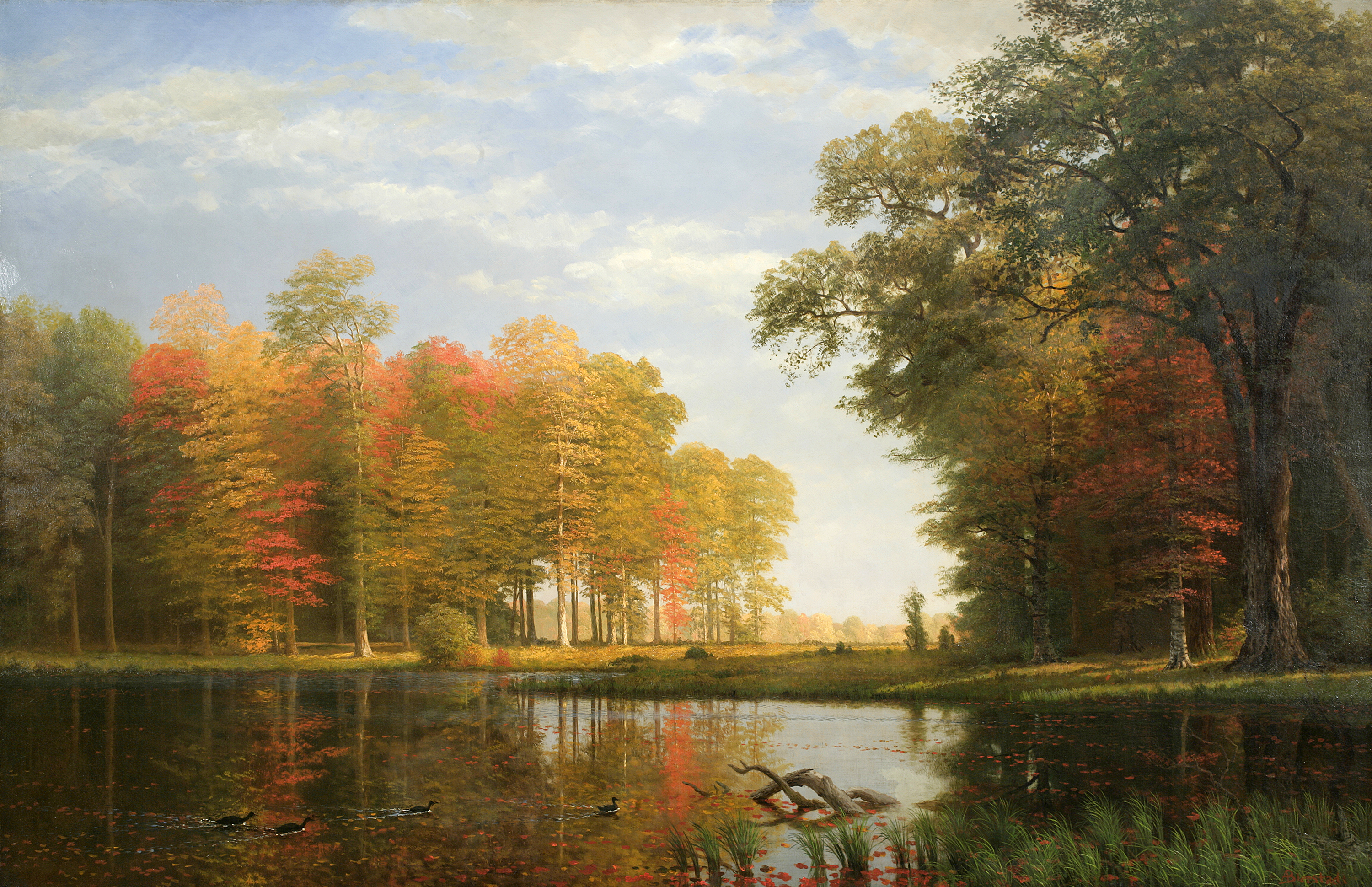 <i>Autumn Woods, Oneida County, State of New York</i>