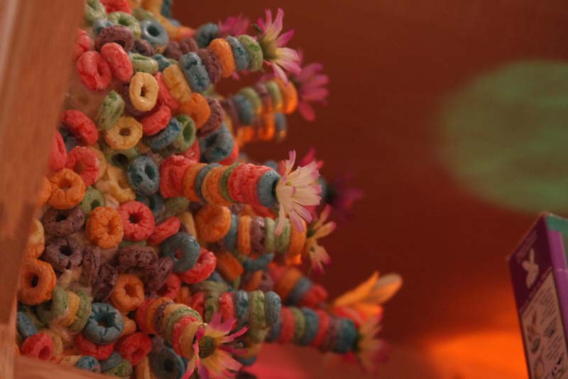 Fruitloop Sculpture New Media Artist John Odonnell